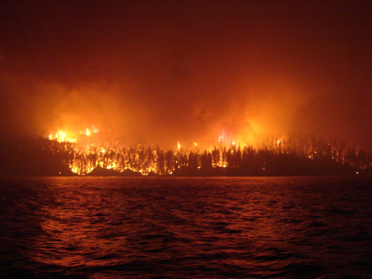 Breaking News: Canadian Province Battling Unprecedented Wildfires - Thousands Evacuated | CanadianWildfires | StateOfEmergency | ClimateChange | BreakingNews | Wildfires | BCWildfires | EmergencyResponse | Evacuation | WildfireSeason | DisasterManagement | EnvironmentalDisaster | EmergencyAlert | AirQuality | EcologicalDamage | NaturalDisaster | EmergencyServices | CanadianNews |