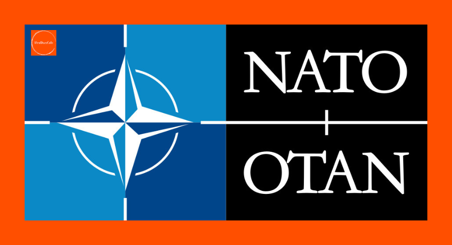 Ukraine | Europe | NATO | Geopolitics | EuropeAtCrossroads | TrumpZelenskyy | UkraineCrisis | EuropeanSecurity | USForeignPolicy | RussiaUkraineWar | EUDefense | GlobalPolitics | TransatlanticRelations | USUkraineRelations | TrumpForeignPolicy | UkraineWarNews | NATOStrategy | 