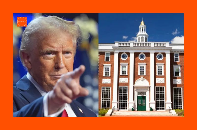 HarvardVsTrump | InternationalStudents | Trump | StudentRights | HigherEdNews | HarvardLawsuit | ImmigrationAndEducation | CampusFreeSpeech | InternationalStudentPolicy | AcademicFreedom | ForeignStudentsInUSA | UniversityLegalBattle | TrumpAdministrationBan | ImmigrationPolicy |  SEVPEnrollmentBan | HigherEducationCrisis | EducationPolicy | StudentVisaBan |  TrumpEducationPolicy |