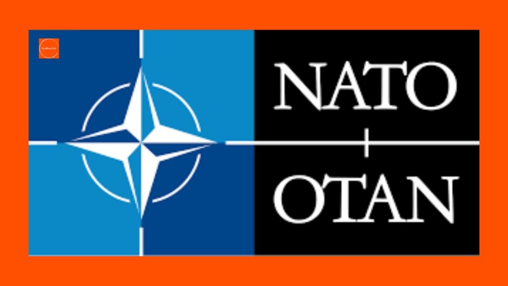 TrumpNATO | NATO2025 | Article5Crisis | Geopolitics | TrumpForeignPolicy | USAllies | NATOUnity | GlobalSecurity | DefenseSpending | TrumpSummit | NATOFuture | TransatlanticTensions | UkraineCrisis | TrumpVsNATO | WorldNews |
