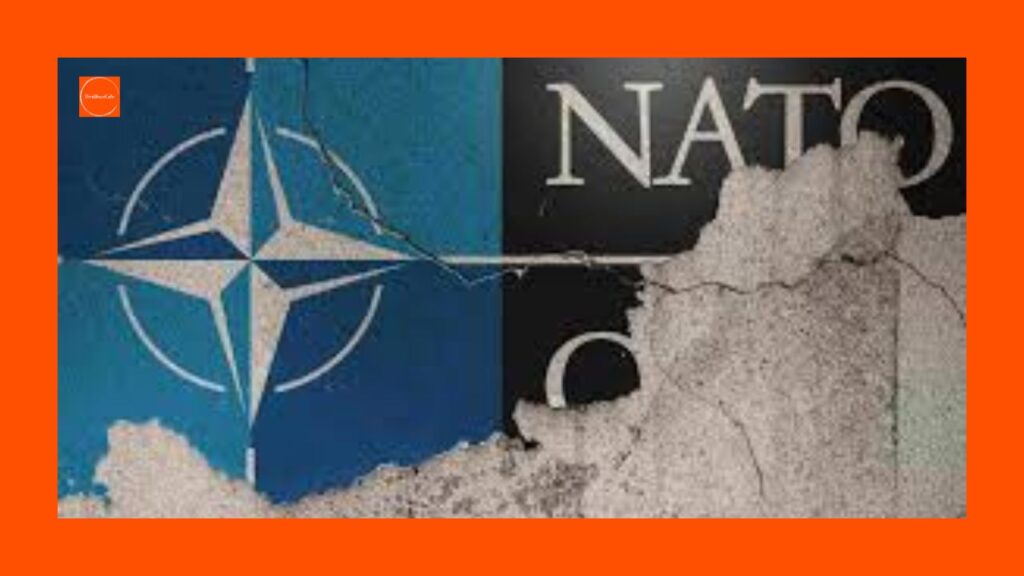 TrumpNATO | NATO2025 | Article5Crisis | Geopolitics | TrumpForeignPolicy | USAllies | NATOUnity | GlobalSecurity | DefenseSpending | TrumpSummit | NATOFuture | TransatlanticTensions | UkraineCrisis | TrumpVsNATO | WorldNews |