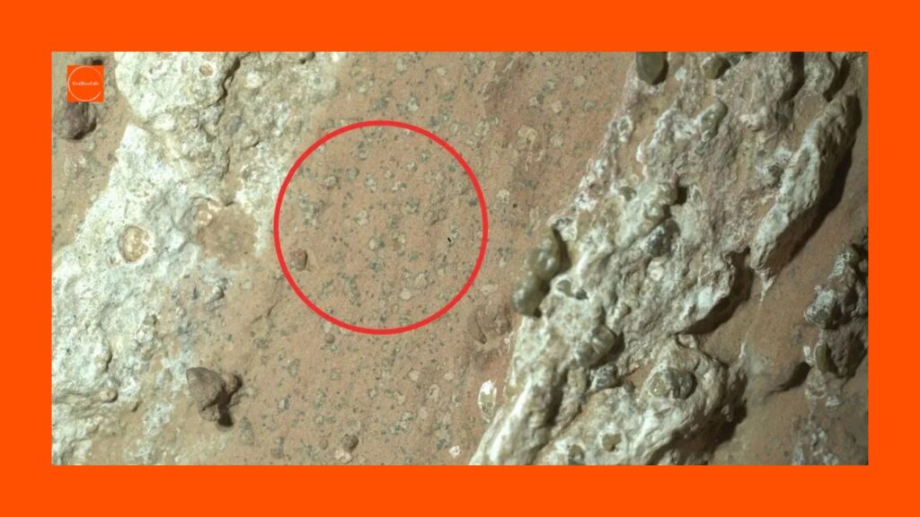 MarsLife | NASA | SpaceDiscovery | Astrobiology | BreakingNews | PerseveranceRover | MartianLife | Mars2025 | SpaceExploration | AlienLife | ScienceNews | Biosignature | JezeroCrater | RedPlanet | SpaceFacts |